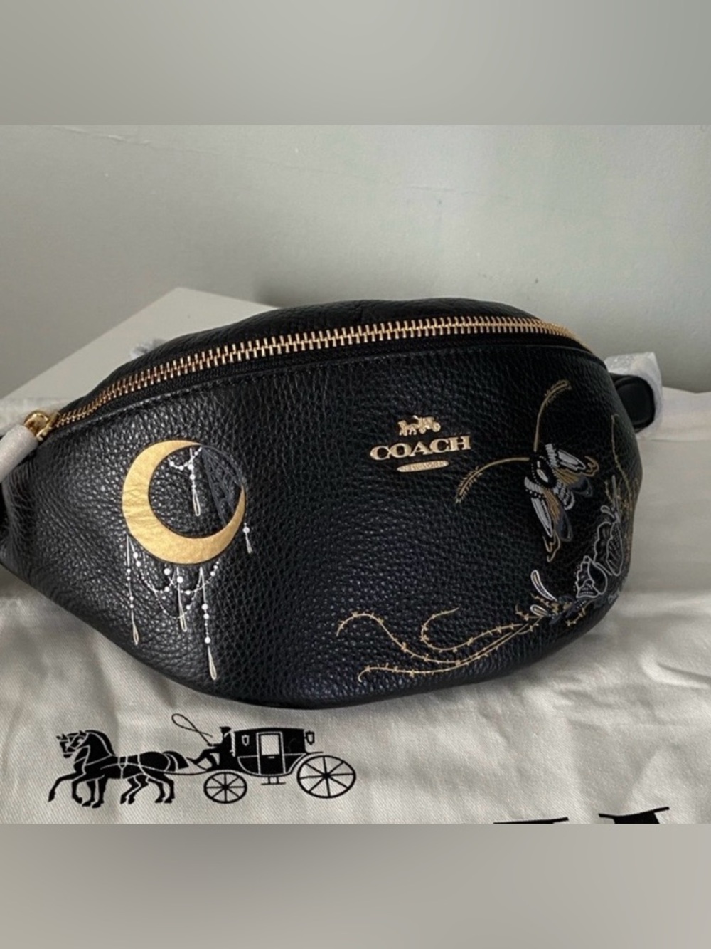 Coach by tattoo artist Chelsea Champlain Belt bag